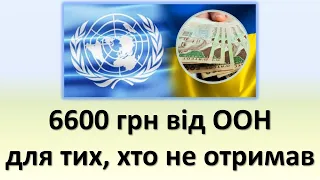 6600 грн від ООН для тих, хто не отримав | Грошова допомога від ООН у 2023