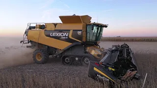 2019 Soybean Harvesting, Central Illinois w/ Lexion Combines