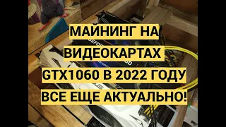 МАЙНИНГ НА ВИДЕОКАРТАХ ASUS GTX1060 В 2022 ГОДУ ВСЕ ЕЩЕ АКТУАЛЬНО!