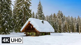 🔥 4K Drone | Snow Mountains & Ski Resorts: Finland, Italy, Slovenia, Russia, Ukraine, USA | UHD