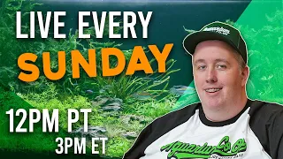 Why are my plants dying? - Here is the answer. Sundays 12pm PST/3PM EST