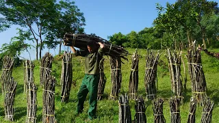 Collect firewood to prepare for winter, harvest sour fruits to sell at the market Ep 98