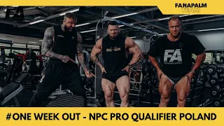 🔥 💪 One week out - NPC Pro Qualifier POLAND #napalmteam #trenermarcin #tarzan