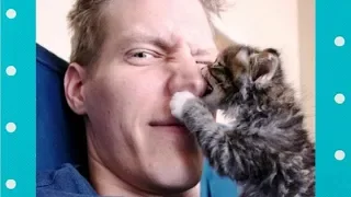 NEW КОТЫ - Смешные кошки 2019 ★ Что кошки будут делать, когда зуд?