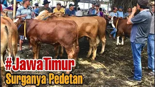 JAWA TIMUR SURGANYA PEDETAN SUPER