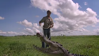 This Croc is TOO BIG for this trap!