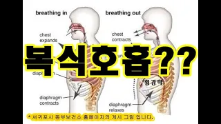 색소폰 동호인을 위한 강좌 - 호흡법에 관하여 (복식호흡만이 전부일까?)