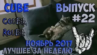 Лучшее видео по версии COUBik за неделю Ноябрь 2017 Выпуск #22