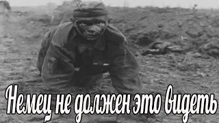 Немец не должен это видеть. окопная правда , Воспоминания Лапшина Н.Ф.( военные истории  1941-1945)