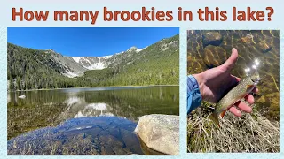 Tenkara fishing for LOTS of wild brookies in an alpine lake.