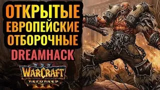 Финал открых квалификаций DreamHack + тестируем граф. мод [Warcraft 3 Reforged]