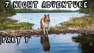 7 Night Wilderness Adventure With My Dog (Part 1 of 3)