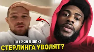 ЭТО КОНЕЦ! Стерлинга могут УВОЛИТЬ из UFC / Петр Ян такого НЕ ОЖИДАЛ!