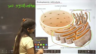 BIOLOGY FOR RRB JE & ALP LECTURE NO-03 BY SHASHI MAAM polysemclasses | Semester classes