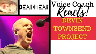 Voice Coach Reacts to Devin Townsend Project: "Deadhead" |  Live From Royal Albert Hall