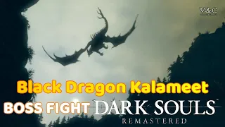 Black Dragon Kalameet - Easy Kill | Dark Souls Remastered - Boss Fight