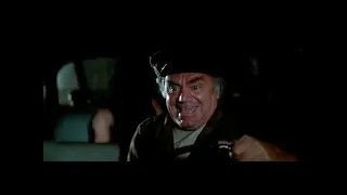 Cabbie played by Ernest Borgnine