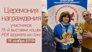 Церемония награждения 16.11.2019г участников 19-й выставки кошек on-line