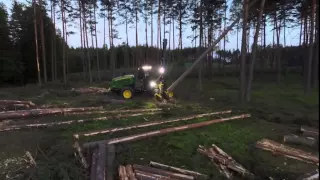W dechę film o drewnie