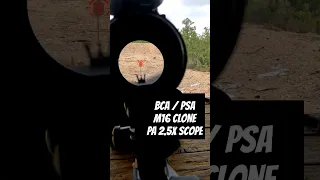 FPV: M16 Clone + Primary Arms 2.5x (BCA 20 Inch Upper + PSA  AR 15 Lower) #shorts