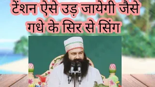 टेंशन ऐसे उड़ जायेगी जैसे गधे के सिर से सिंग........। saintdrmsginsan.........(satsang)...........।