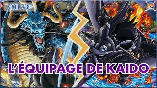 ON VOUS DIT TOUT SUR L'ÉQUIPAGE AUX 100 BÊTES ! - One Piece Explication