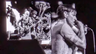 〘4K〙 RED HOT CHILLI PEPPERS / Intro 〜 Can't Stop Tokyo Japan   May 18 2024