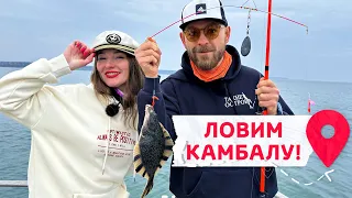 Рыбалка на Сахалине - камбала клюет без остановки! Азартная экскурсия на катере по заливу Анива.