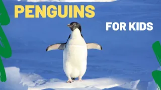 All About Penguins for Kids | A Lesson On Penguins For Kids | Species, Habitats, Body Parts