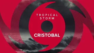 Tropical Storm Cristobal makes landfall - live coverage