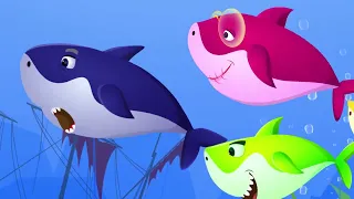 Learning the members in the Baby Shark family? | Kid Songs | The Baby Shark Lala