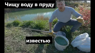 Чищу воду в пруду известью.