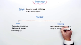 Barzahlungen - Falschgeld - Geldwäsche