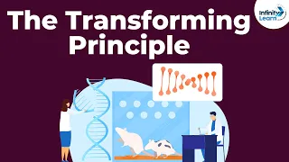 Genetics - The Transforming Principle - Lesson 12 | Don't Memorise