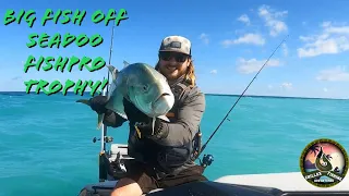 Catching a Big Jack Crevalle off the Seadoo Fishpro Trophy! #sebastianinlet #fishing #seadoo