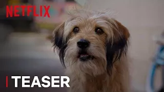 Benji | Official Teaser [HD] | Netflix