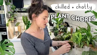 Chilled Chatty Plant Chores 💚 Transferring Plants To Pon + Exciting Updates 🌱