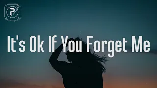 Astrid S - It's Ok If You Forget Me (Lyrics)