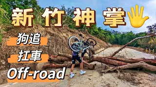 新竹神掌｜挑戰公路車Off-road?