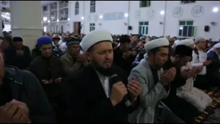 Muhammad Rosul Qorijondan Taroveh Soʻngidagi Quron Tilovoti Ali imron surasidan