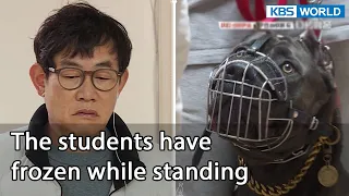 The students have frozen while standing (Dogs are incredible EP.120-3) | KBS WORLD TV 220503