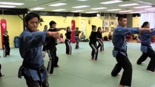 Martial Arts Company - Introduction