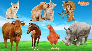 Learn about familiar animals, animal sounds and foods: Fox, Dog, Cat, Tiger, Cow, Horse, Chicken.