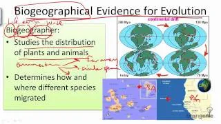 11.2.6 Biogeographical Evidence for Evolution