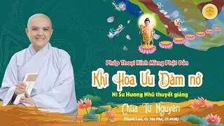KHI HOA ƯU ĐÀM NỞ  - Ni sư Hương Nhũ thuyết giảng |Chùa Từ Nguyên (Q.Tân Phú, TP. HCM)