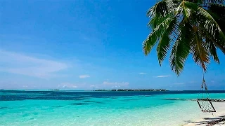 Relaxar! Suave Som das Ondas e Praia Paradisíaca