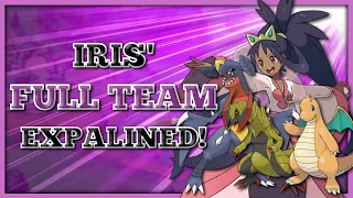 IRIS' FULL TEAM EXPLAINED! // Pokemon Anime Discussion! #shorts