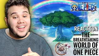 The Breathtaking World Of One Piece REACTION | How BIG Does it GET?!