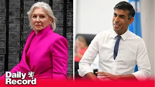 Nadine Dorries leaves Rishi Sunak facing another crunch by-election as Tory MP gets set to quit