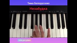 Незабудка, Тима Белорусских